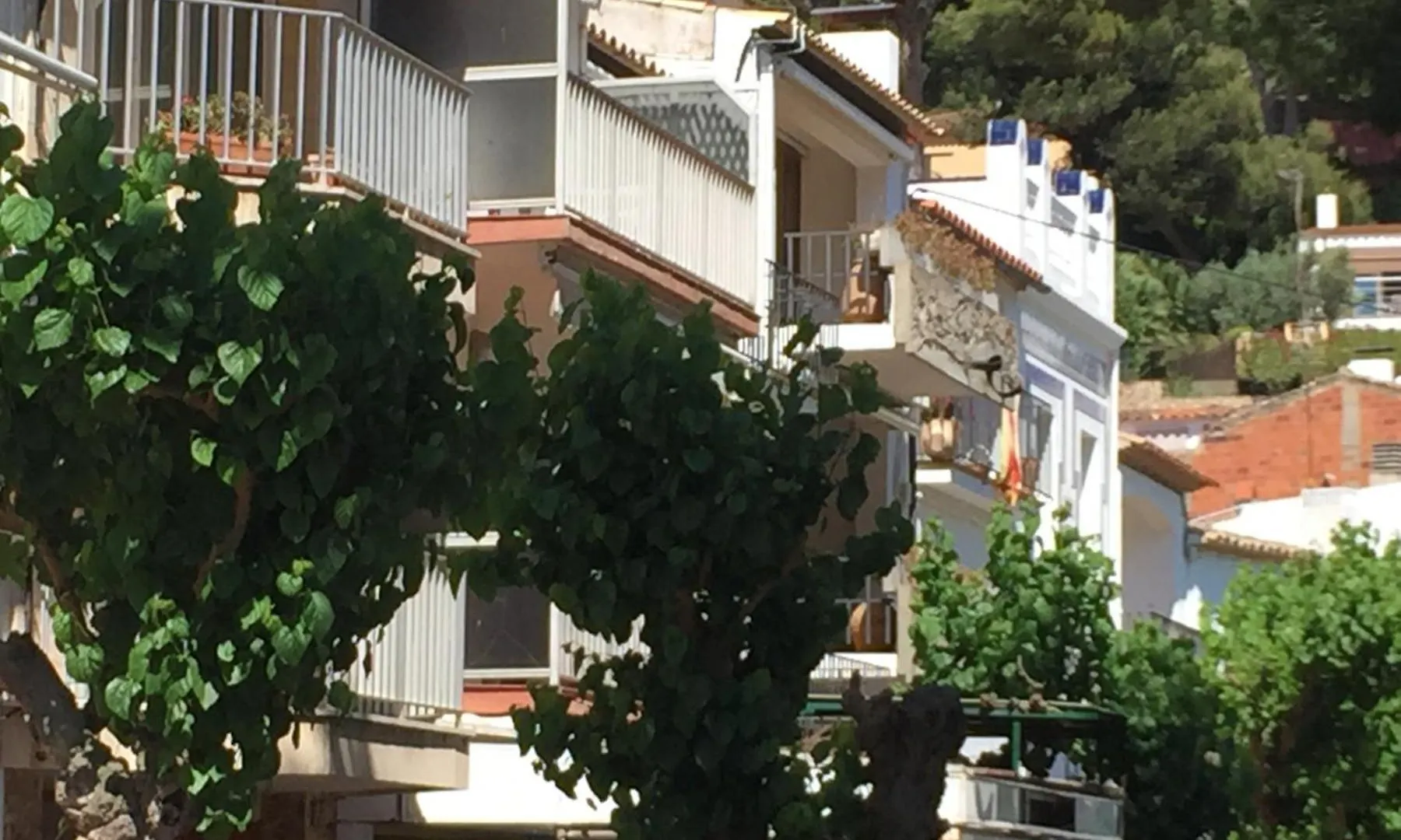 Appartement Llafranc Espagne